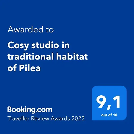 Cosy Studio In Traditional Habitat Of Pilea Thessaloniki